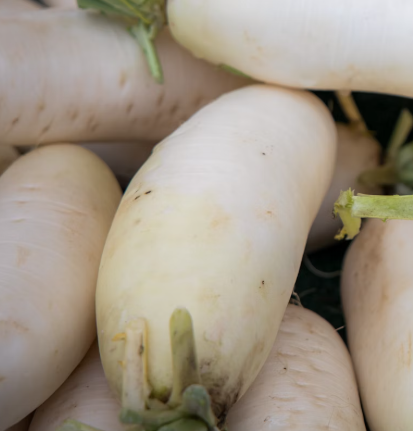 무 효능과 부작용