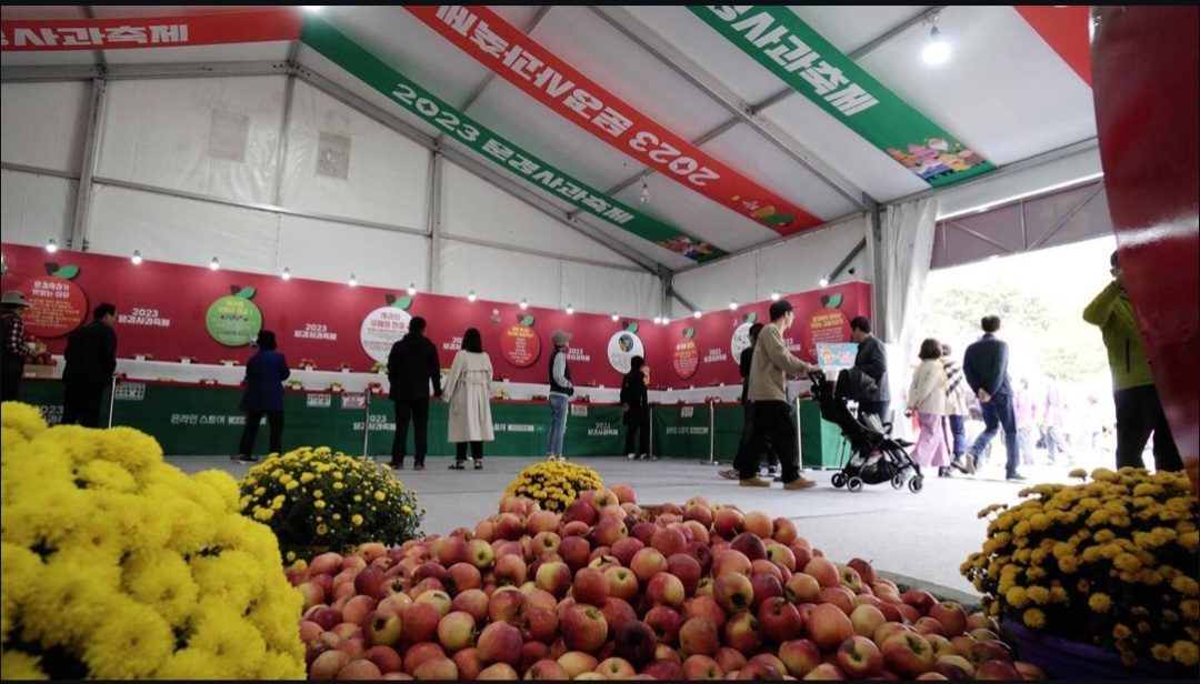문경사과축제-감홍사과