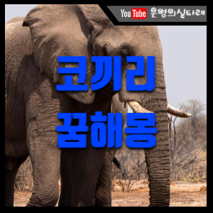 썸네일 사진