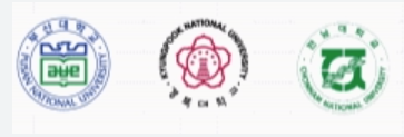 부산대, 경북대, 전남대
