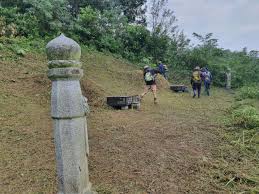 벌초대행 가격비교