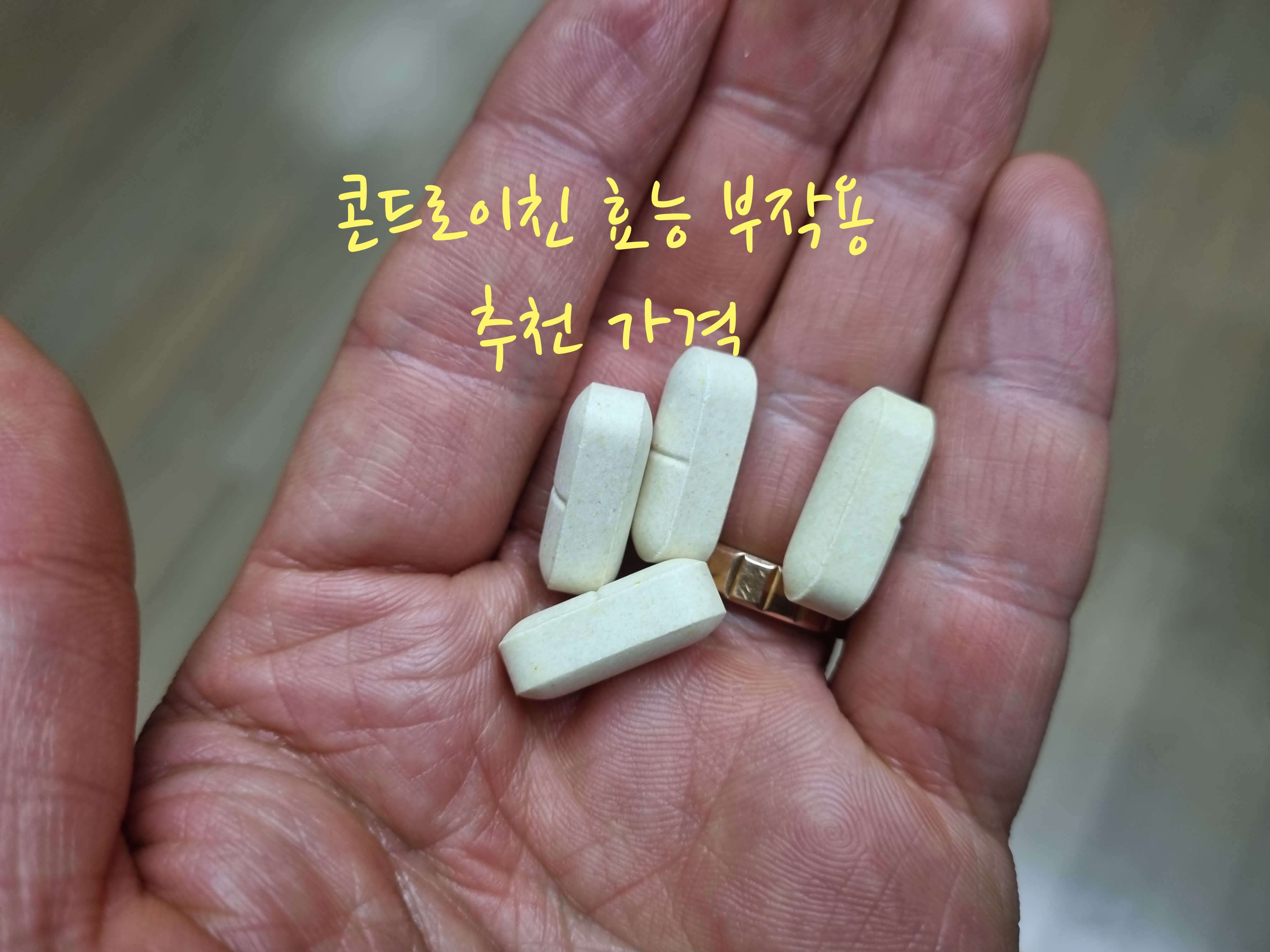 콘드로이친 효능