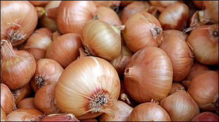 껍질이 붉은 양파 한 무더기