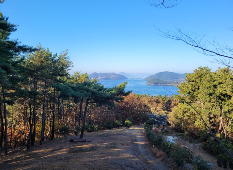 거제맹종죽테마파크2