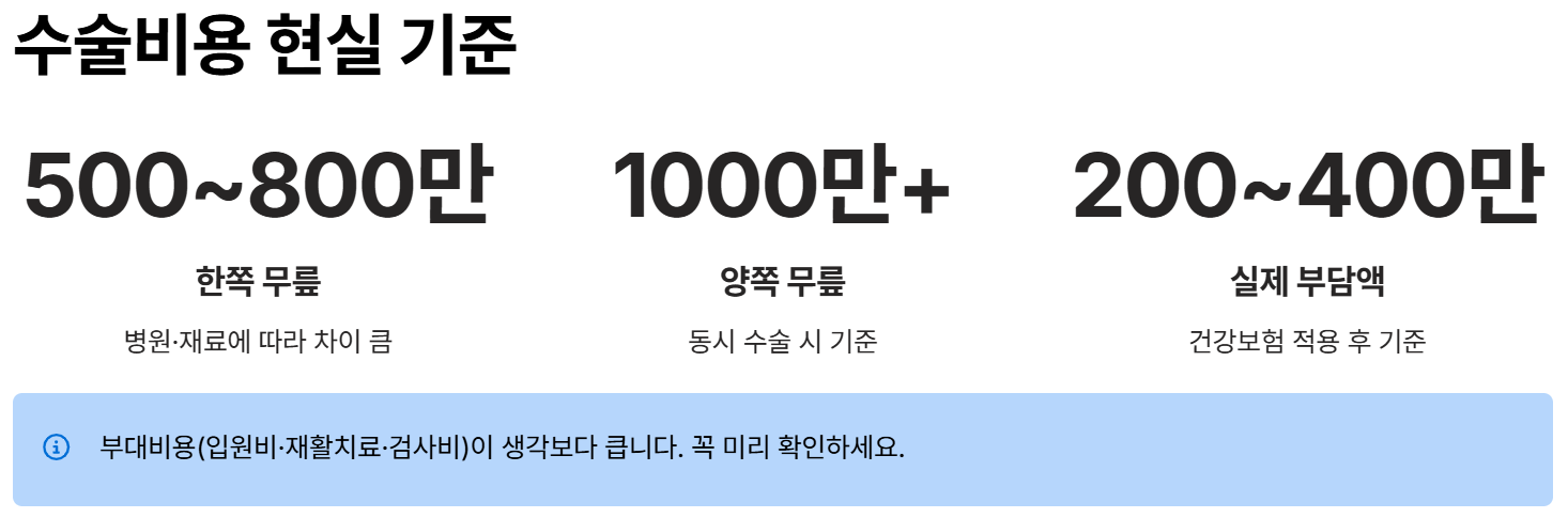 수술 비용 현실 기준