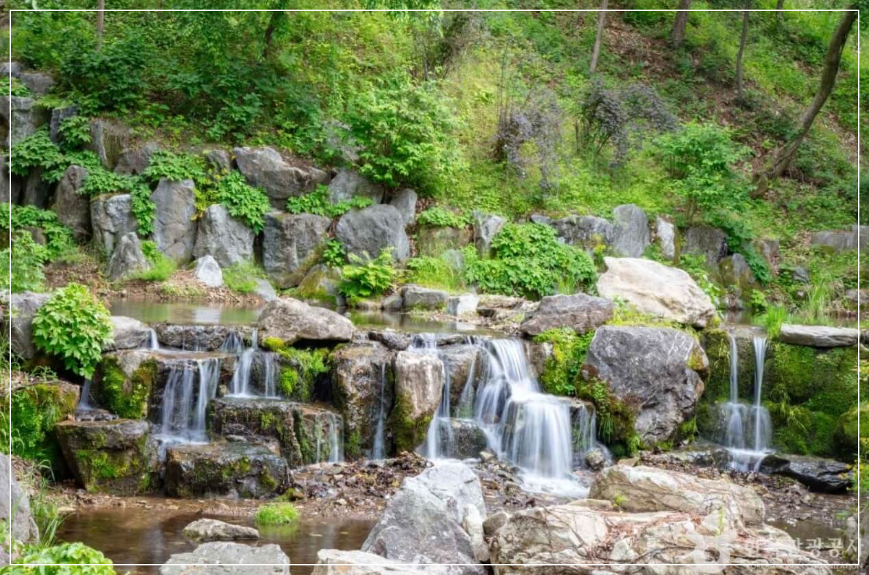 춘천 가볼만한곳 베스트10 제이드가든 수목원