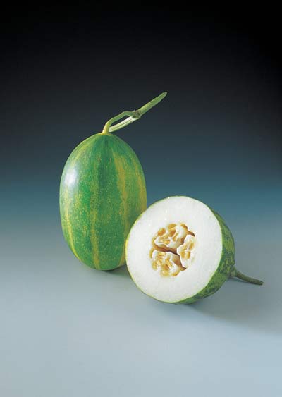 통풍 증상 발가락 통증에 좋은 음식