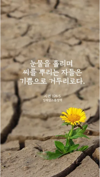 시편 126편 5 6절 씨뿌리는 자_19