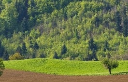 탄소중립실천포인트