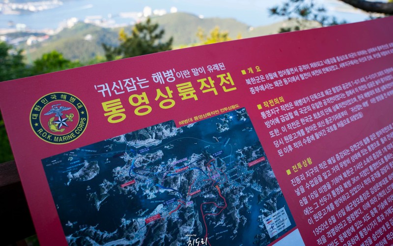 통영 케이블카 완벽 가이드: 최신 요금&middot;무료 주차부터 미륵산 정상 코스