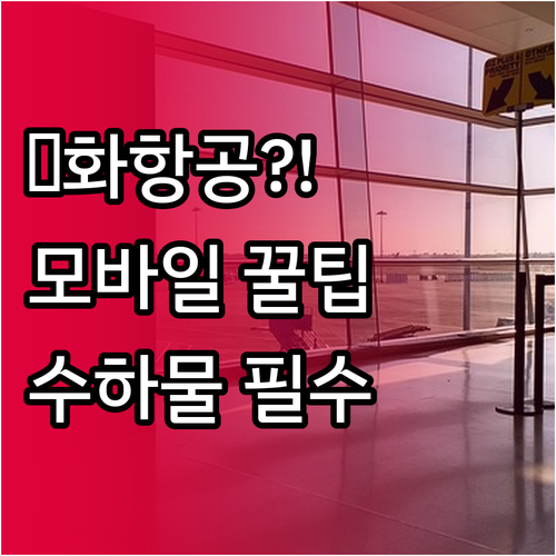 중화항공 모바일 체크인 및 수하물 규..