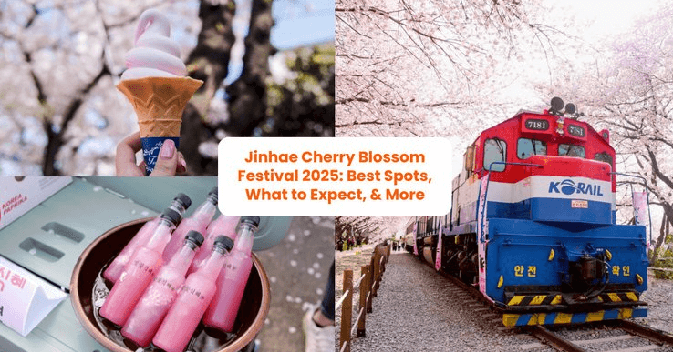 2025년 진해 군항제 벚꽃축제 관련사진