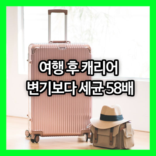 여행 후 캐리어 변기보다 세균 58배? 꼭 알아야 할 위생 관리법