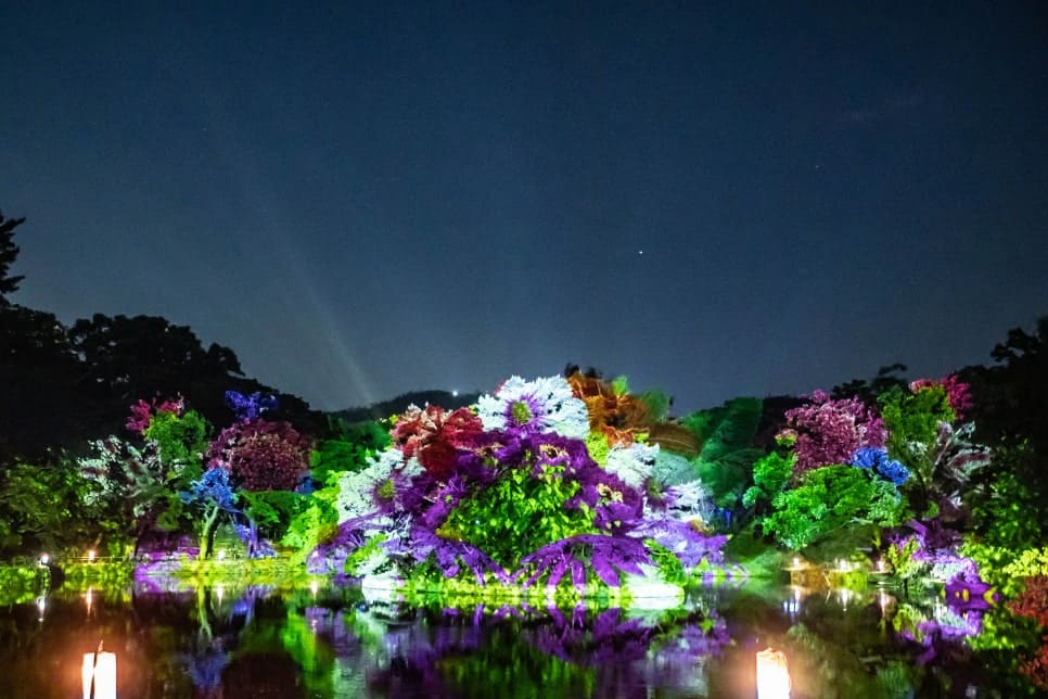 창경궁 물빛연화 미디어아트