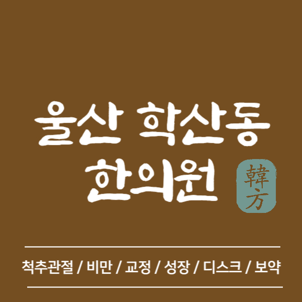 울산 중구 학산동 한의원 추천 TOP5 양심 한의원 유명한 곳