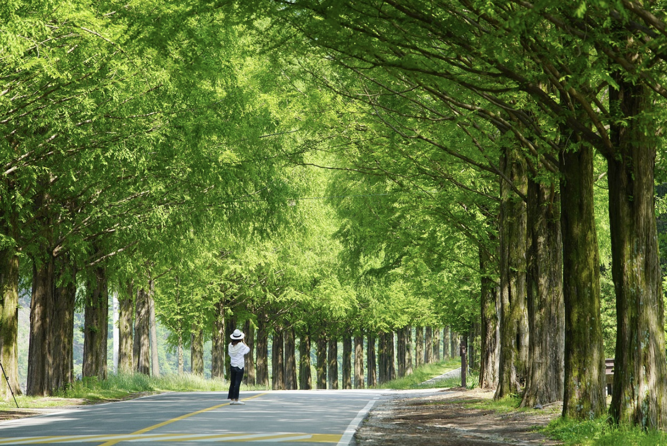 하늘공원 억새축제