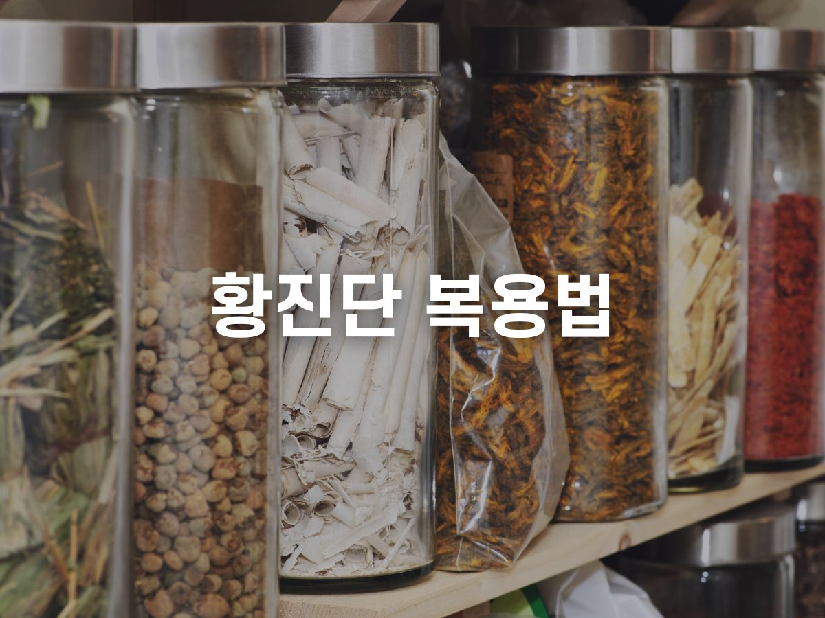 황진단 복용법