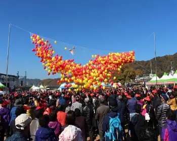 청송 사과축제_5