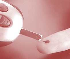 애사비 식초 혈당 조절