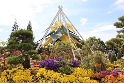 고양 가을꽃축제 일산호수공원