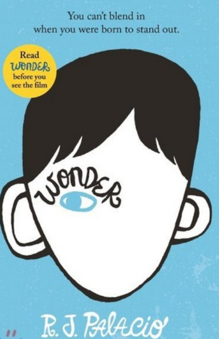 아름다운 아이 원더 -Wonder R.J Palacio