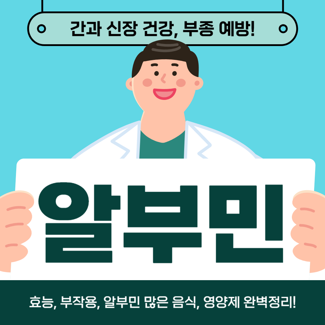 알부민 효능 부작용 음식 영양제 완벽 정리