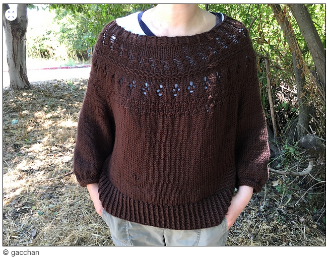 대바늘 뜨개옷 라넌큘러스