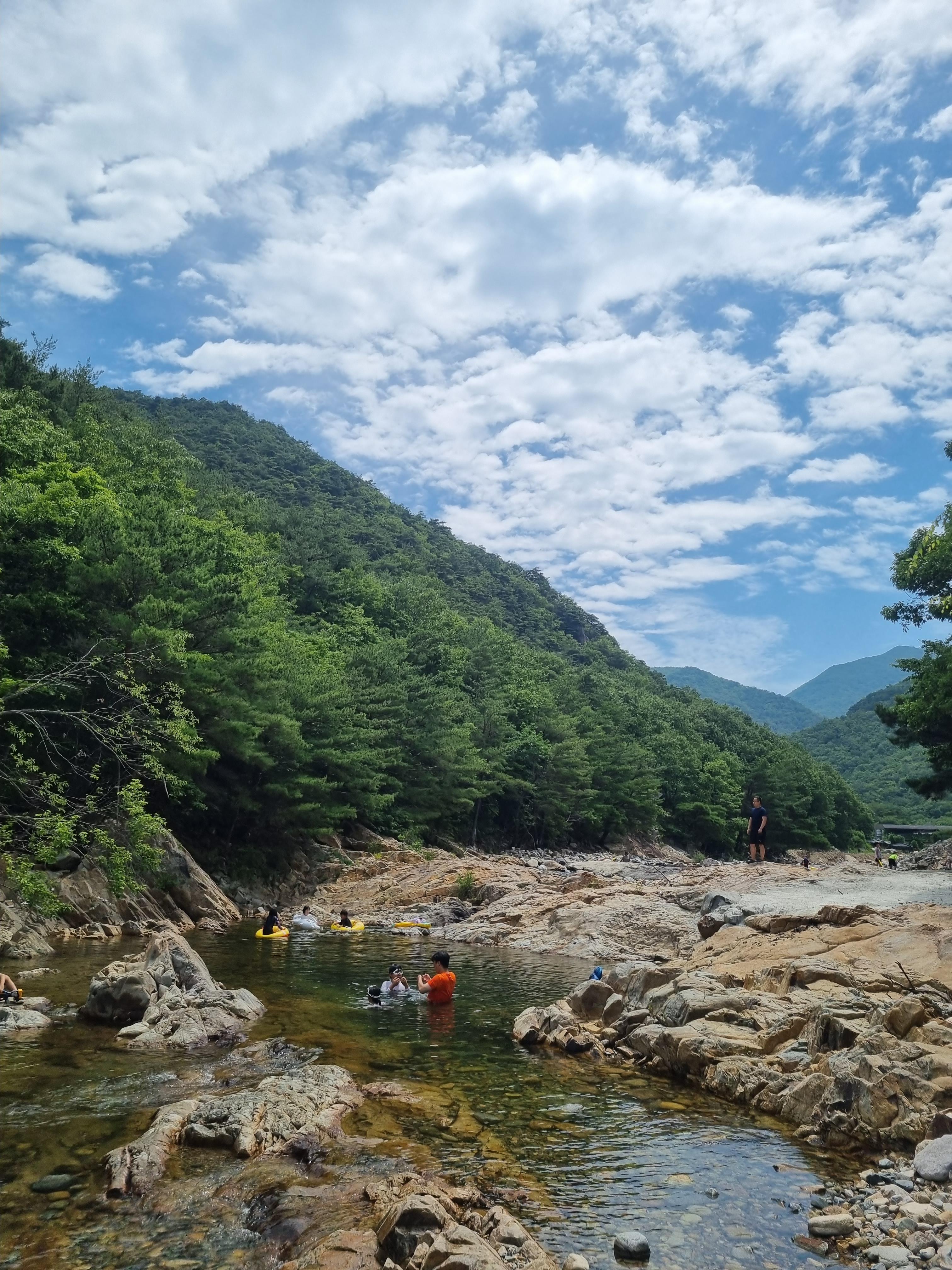 둥지펜션캠핑장