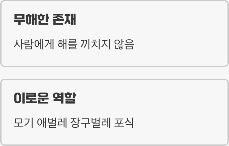 소금장수라는 흔한 오해