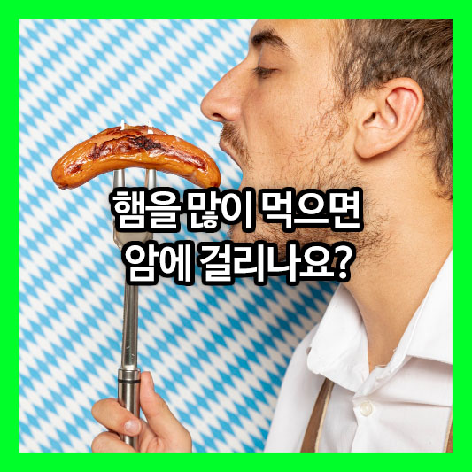 햄을 많이 먹으면 암에 걸리나요? 가공육의 위험성과 건강하게 먹는 방법!