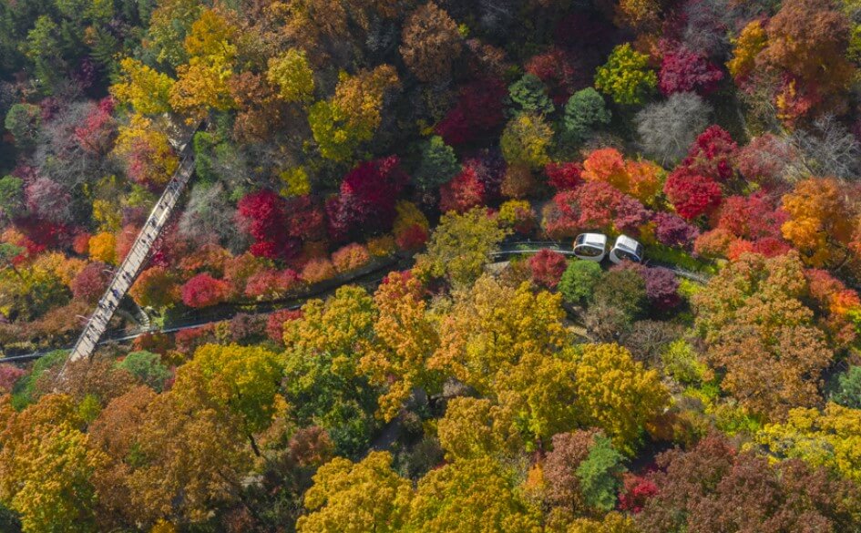 화담숲 예약하기