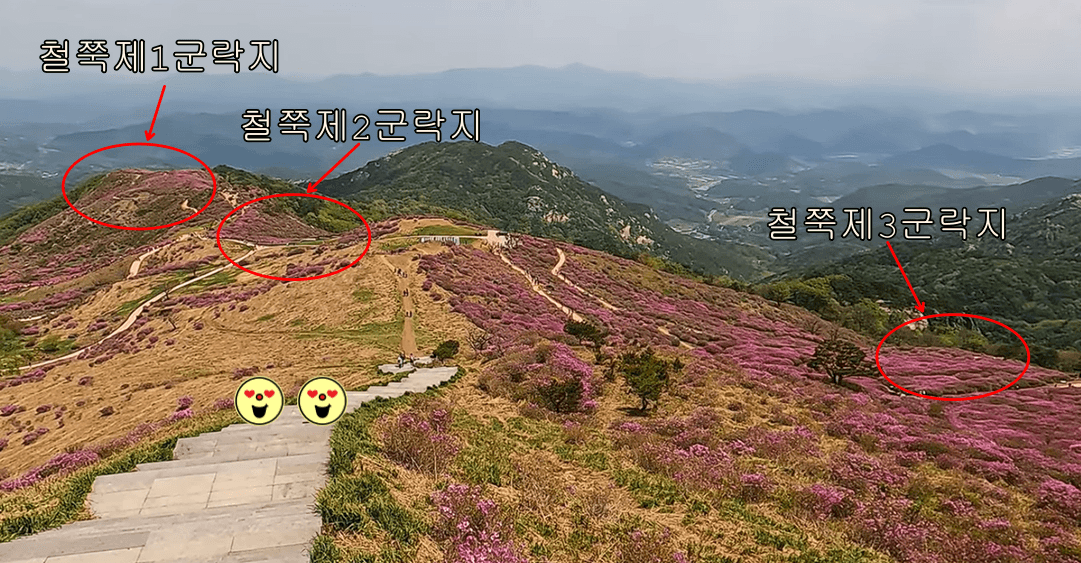 황매산 철쭉군락지
