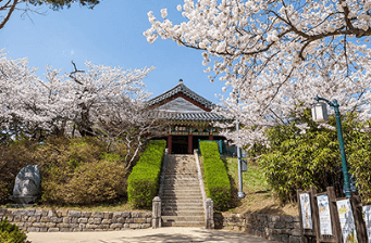 국가유산 방문자 여권 신청방법 [할인 혜택]