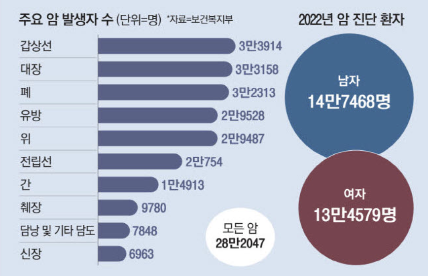 주요 암 발생자수 및 암진단환자 (출처 : 매일경제)