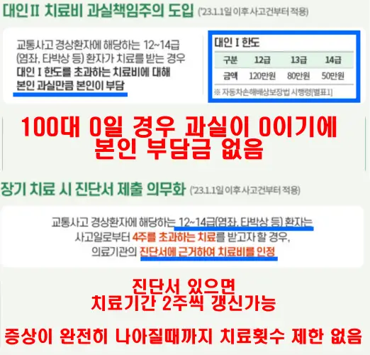 경상환자 자배법 개정내용(치료비 한도 금액설정, 4주이상 치료시 진단서 필수)