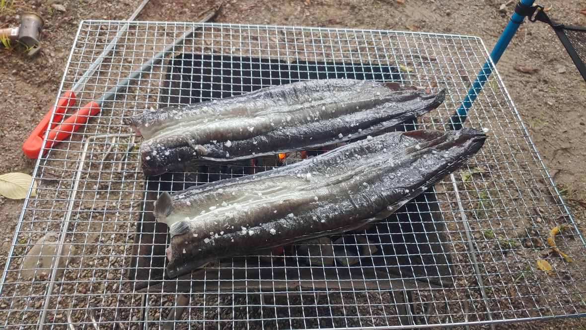 민물장어에 소금이 뿌려져 익어가는 모습