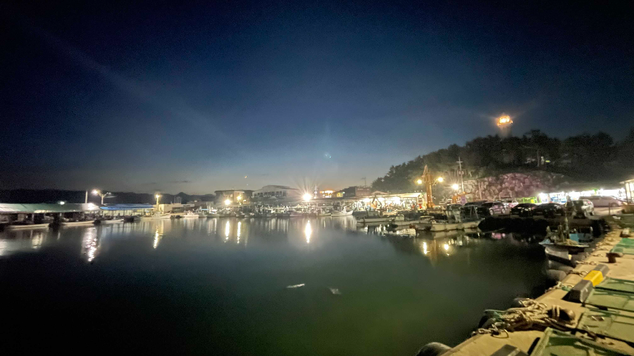 돌고래 횟집 근처 오호항 야경