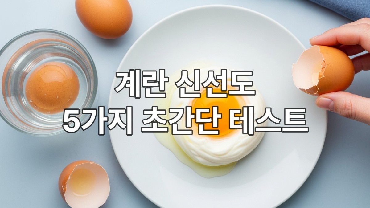 물 테스트, 깨진 노른자, 냄새 확인 등 5가지 방법으로 계란 신선도를 확인하는 모습이 담긴 활기찬 이미지.