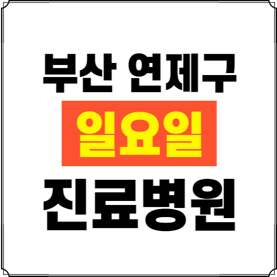 부산 연제구 일요일 진료병원 찾기 ❘ 24시 휴일 주말 응급 야간 심야 문여는 병원