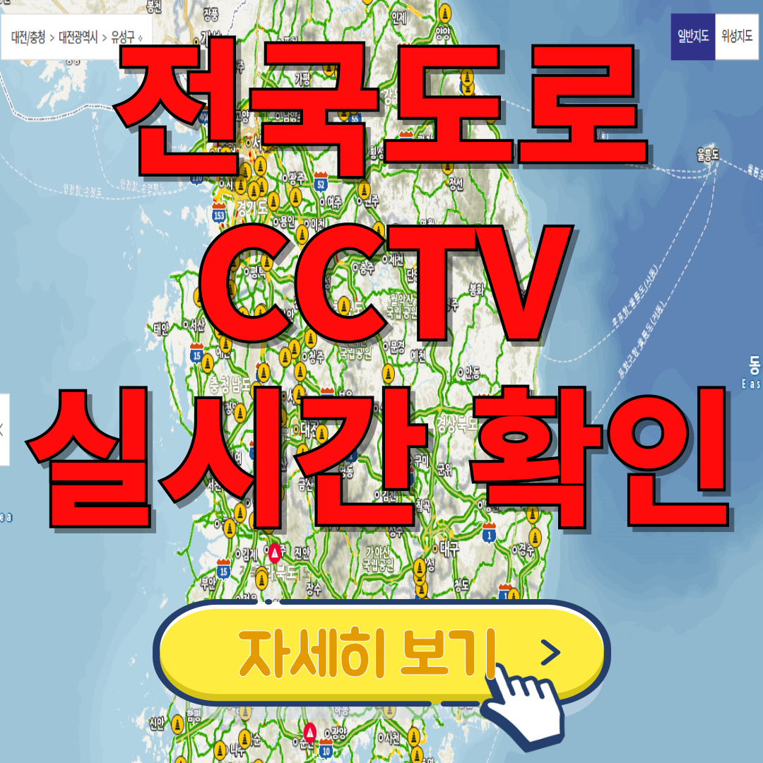 실시간 교통정보