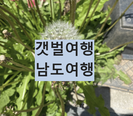 Alt 속성 문제 해결 설명 이미지