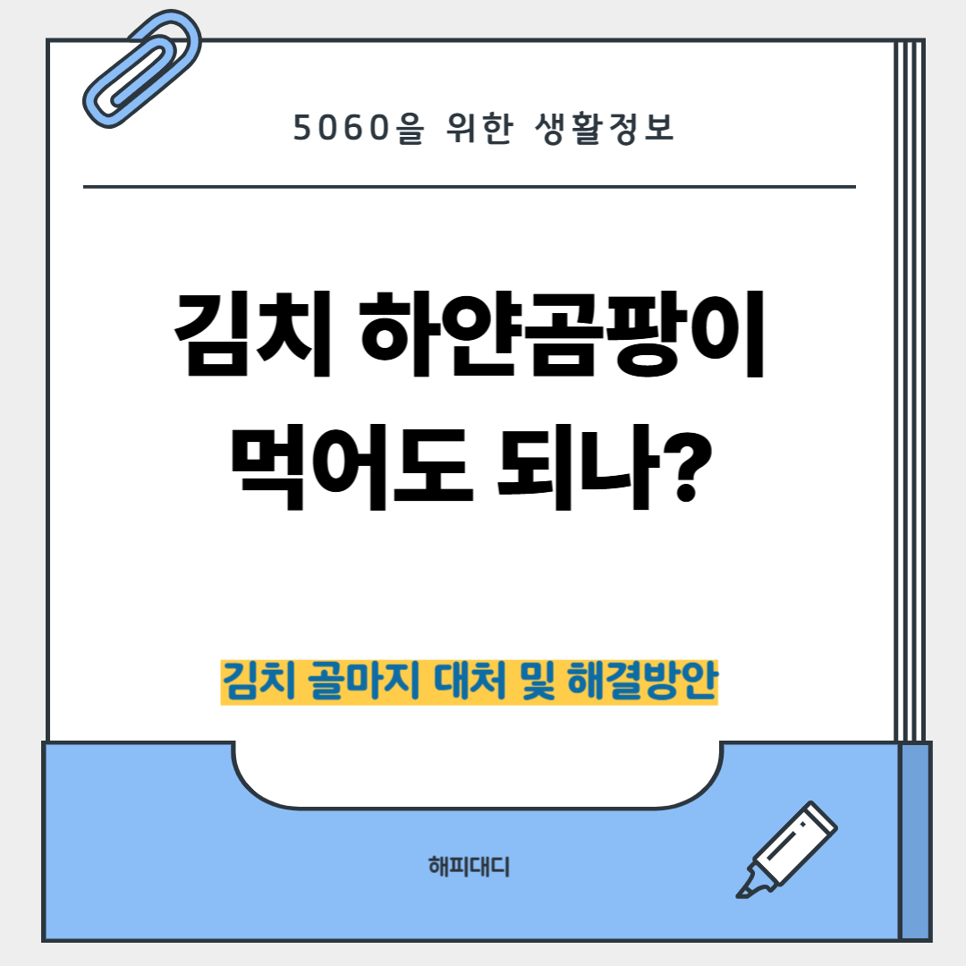 김치하얀곰팡이