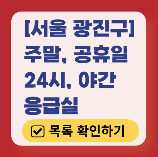 서울 광진구 응급실 운영 병원 리스트 ❘ 주말, 토요일, 일요일, 공휴일 응급의학과 ❘ 24시 야간 응급진료 가능한 곳