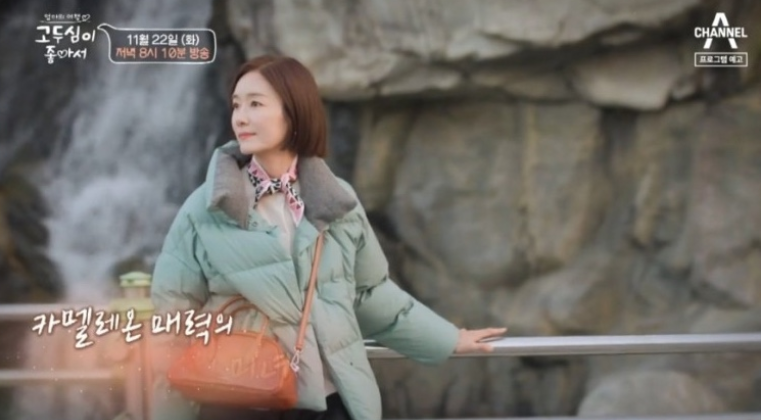 고두심이 좋아서 오연수 가방