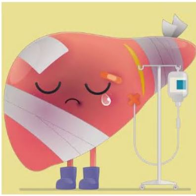 알부민-영양제-추천