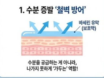 바세린 효능