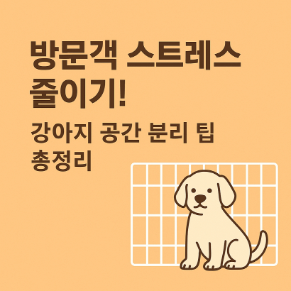 손님만 오면 짖는 강아지? 공간 분리가 답입니다|방문객 대응 팁