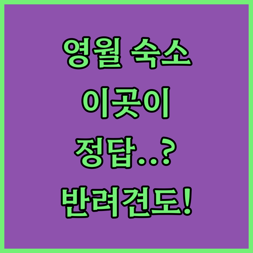영월 여행 숙소 추천 5곳 위치별 특..
