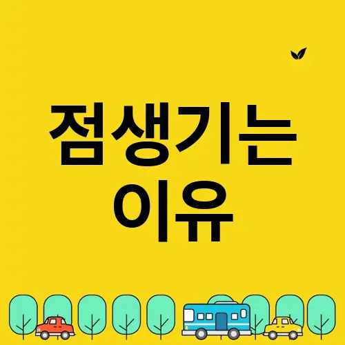 점생기는 이유