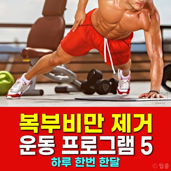 복부비만 운동 다이어트,복부비만 원인 제거